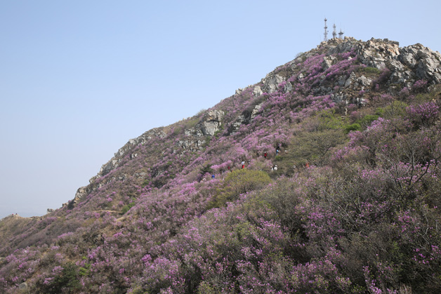 1f837ead970d799c323dc8e2857412ad 首页 - JDB电子官方网站