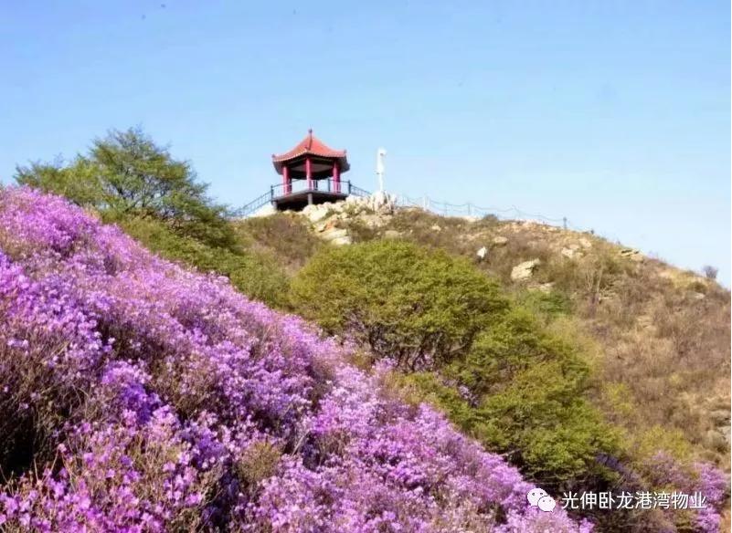 首页 - JDB电子官方网站