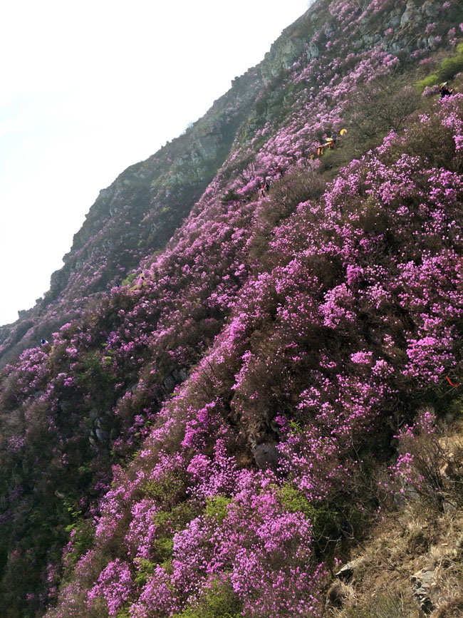 ��ҳ - JDB���ӹٷ���վ