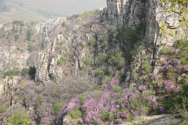 9c001526bf200be02aa092d97fe7346a 首页 - JDB电子官方网站