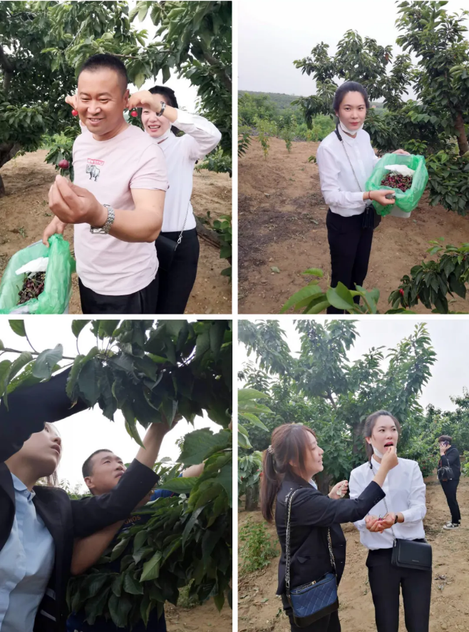 ��ҳ - JDB���ӹٷ���վ