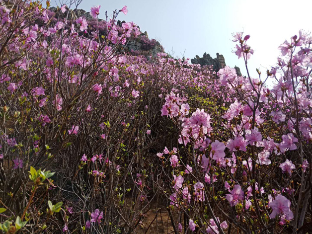 b115240249d2cc0a5e70d1f47ea7200d 首页 - JDB电子官方网站