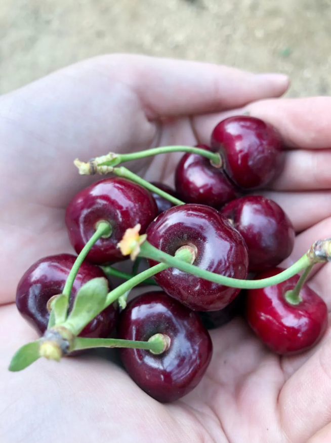 ��ҳ - JDB���ӹٷ���վ