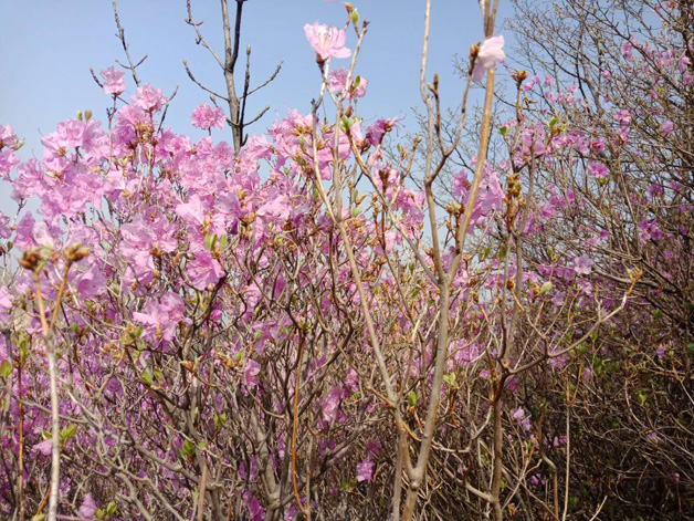 ead844f52f6d63f068fb8878dfa3f74f 首页 - JDB电子官方网站